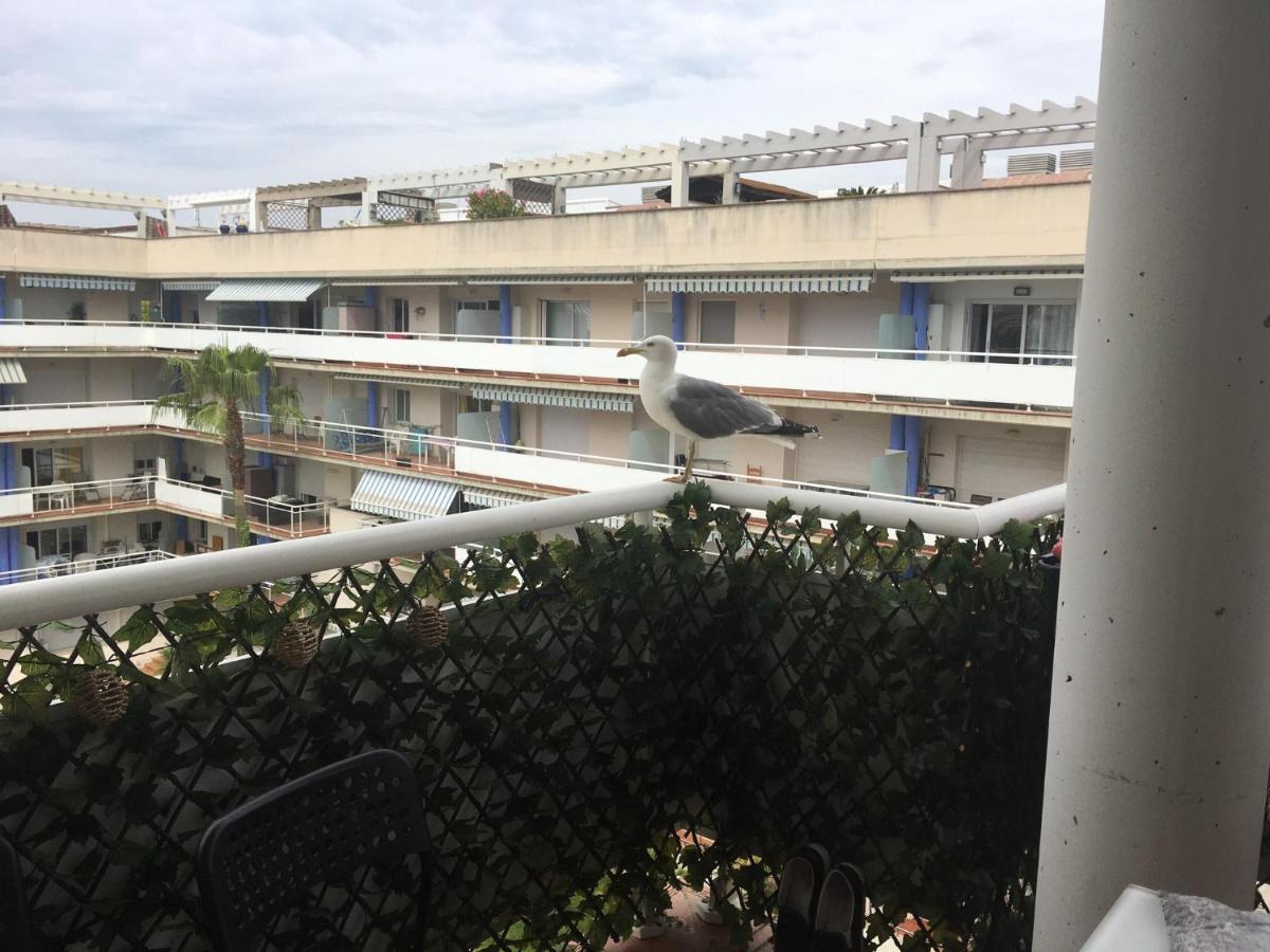 Superbe Avec Solarium Et Piscine Communautaire Appartement